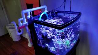 Biocube 29 Custom Sump Update: Active Tank Drilled (pt 4)