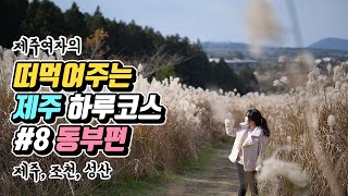 떠먹여주는 제주도 여행 하루코스 #8 겨울 동부편 (제주/조천/성산)
