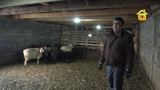 Фермерское хозяйство. Личный опыт // FORUMHOUSE