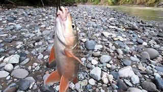 Traditional: Cast Net Fishing in the River | Catch Fish and eels in The River with Beautiful Nature