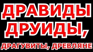 ДРАВИДЫ (ДРУИДЫ, ДРАГУВИТЫ, ДРЕВЛЯНЕ) ОСОБЕННОСТИ МИСТИЧЕСКОЙ ЭНЕРГИИ ДРУИДОВ (ДРАВИДОВ)
