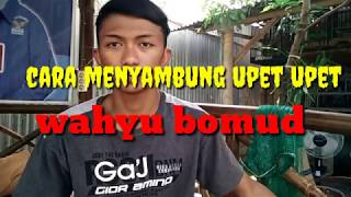 Cara menyambung upet upet pecut