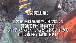 【閲覧注意】ヘッドショット2発受けても走ろうとする猪【狩猟】