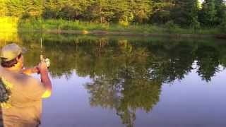 Catching bass left and right!!!