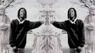 Kidd Niek - '' visionary audio ''