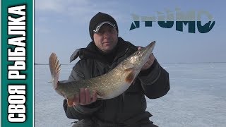 Ловля щуки на раттлины и вибы зимой. Отчёт о рыбалке Иваньковское водохранилище