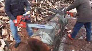 Stihl vs Husqvarna -Husqvarna vs Stihl competition