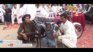 Noor Pur Thal race 4-5-6 November 2017 | greyhound racing 2018