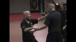 Praying Mantis Kung Fu - Part 1 of 2