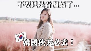 [韓國 Vlog#48] 韓國秋天不要只是看楓葉? 網美夢幻打卡聖地 l Cher is chercher