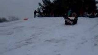 Penguin sled 4