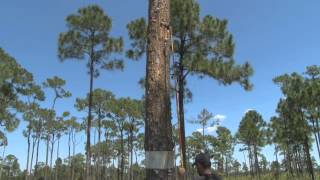A closer look at JW Corbett Wildlife Management Area