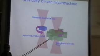 Optical Vortices and Laser Tweezers III - Halina Rubinsztein-Dunlop