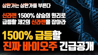 [신라젠 주가] 상한가는 상한가를 부른다! 신라젠 1500% 상승의 원리로 급등할 제2의 신라젠을 잡아라! 1500% 급등할 진짜 바이오주 긴급공개 I이홍장 대표 전문가I