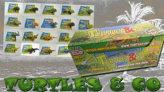 TURTLES & CO | 1x DISPLAY BOX 20 BOOSTER PACKS | DEAGOSTINI