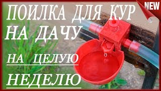 Автономная поилка для кур, на неделю!!! Как сделать и что выбрать.