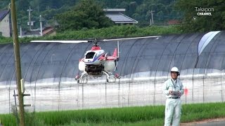 Pesticide spraying RC helicopter. ラジコン 農薬散布 産業用無人ヘリ YANMAR ヤンマー  The small rice field in Japan.