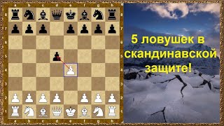Шахматы дебюты. Скандинавская защита. 5 ловушек!