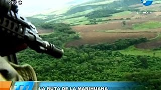 Informe Especial: La ruta de la marihuana en Paraguay 31/03/16