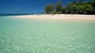 Cairns Green Island PV　ケアンズ　グリーン島のいいとこPV