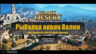 Как заработать много денег новичку в Black Desert