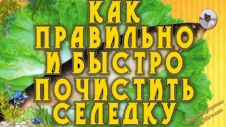 Как почистить селедку. Как правильно и быстро почистить селедку.Petr de Cril'on