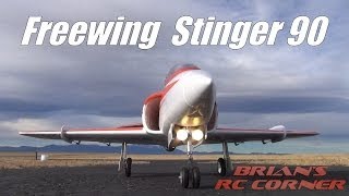 Freewing Stinger 90 - Flight Testing