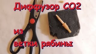 Диффузор СО2 из ветки рябины своими руками