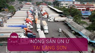 Mới thông quan, nông sản vẫn "tắc đường" ở Lạng Sơn | VTC Now