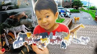 Мои фигурки животных от National Geographic // игрушки фигурки животных