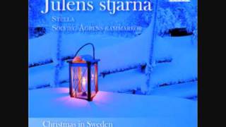 Stella Chamber Choir - När det lider mot jul