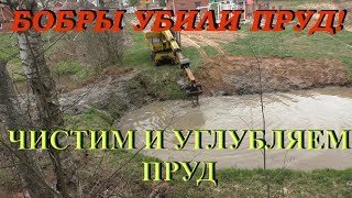 Бобры УБИЛИ мой пруд! ОЧИСТКА ПРУДА! Deepening of the pond-the excavator digs at a depth of 10 feet!
