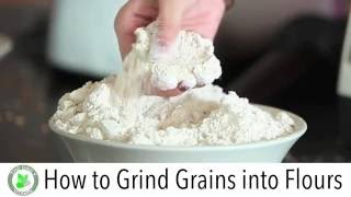How to make flour - Best Grain Mill Blend off - Blendtec vs Vitamix - Nutribullet vs Ninja - Mill