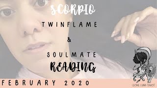 SCORPIO | You’re Both At A Standstill | Twinflame & Soulmate Love Tarot Reading | February 2020