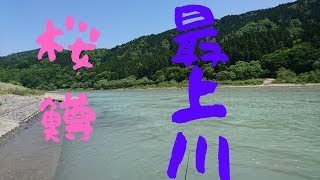 最上川サクラマスに参戦～♪　山形県　庄内町　最上川