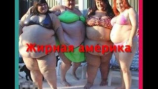 Жирная Америка или как не разжиреть в США, самые толстые люди в Америке