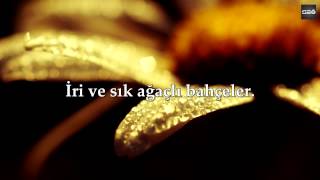 Mishari Rashid Al Afasy-Abese suresi ve Meali