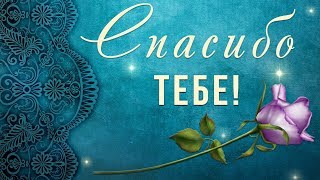 ? Спасибо тебе за то, что ты есть у меня!? Анимационная открытка #WhatsApp #Длятебя #спасибо