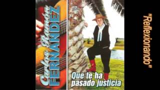 Carlos Ramón Fernandez - Reflexionando