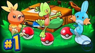 Pokemon Omega Ruby and Alpha Sapphire - Part #1 w/ Ali-A LIVE!