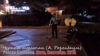Черный тюльпан (А.Розенбаум) - Роман Семенов (Ялта 2018)