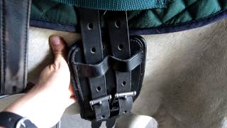 Horse Girth Check Video
