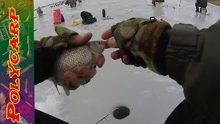 НОВИНКА!!!!!ЛОВЛЯ КАРАСЯ ЗИМОЙ НА МОРМЫШКУ НА ДНЕПРЕ
