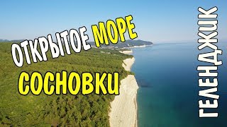 Кемпинг СОСНОВКА. Открытое море Круча