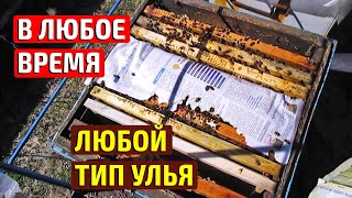 САМЫЙ ПРОСТОЙ СПОСОБ ОБЪЕДИНЕНИЕ ПЧЕЛ  В ЛЮБОЕ ВРЕМЯ