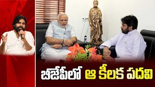 కన్నా లక్ష్మి నారాయణకి ఎసరు పెట్టిన పవన్ కళ్యాణ్ | Pawan Kalyan To Appoint As Bjp Chief | Social TV