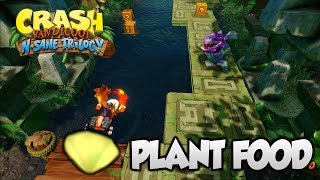 Crash Bandicoot 2 - "Plant Food" Yellow Gem (PS4 N Sane Trilogy)