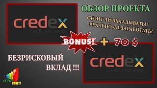 Работа в интернете с Credex - ВСЯ ПРАВДА . СТОИТ ЛИ ИНВЕСТИРОВАТЬ ?