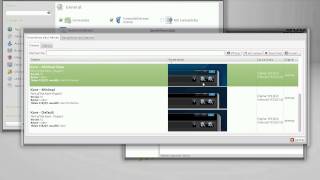 Linux mint 12 + Mate + Compiz 0.8.8 + emerald 0.8.8