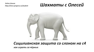 Шахматы. Сицилианская защита со слоном на c4. Как играть за черных. Урок 64 (часть 1)